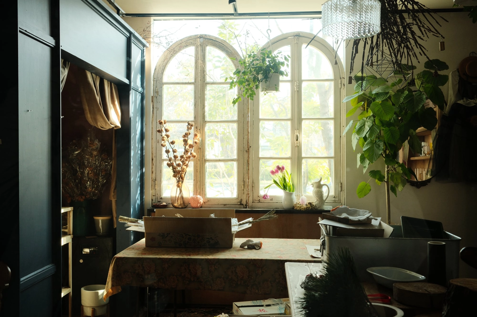 Sunlight streams through an arched window onto a cluttered table with dried flowers and potted plants.